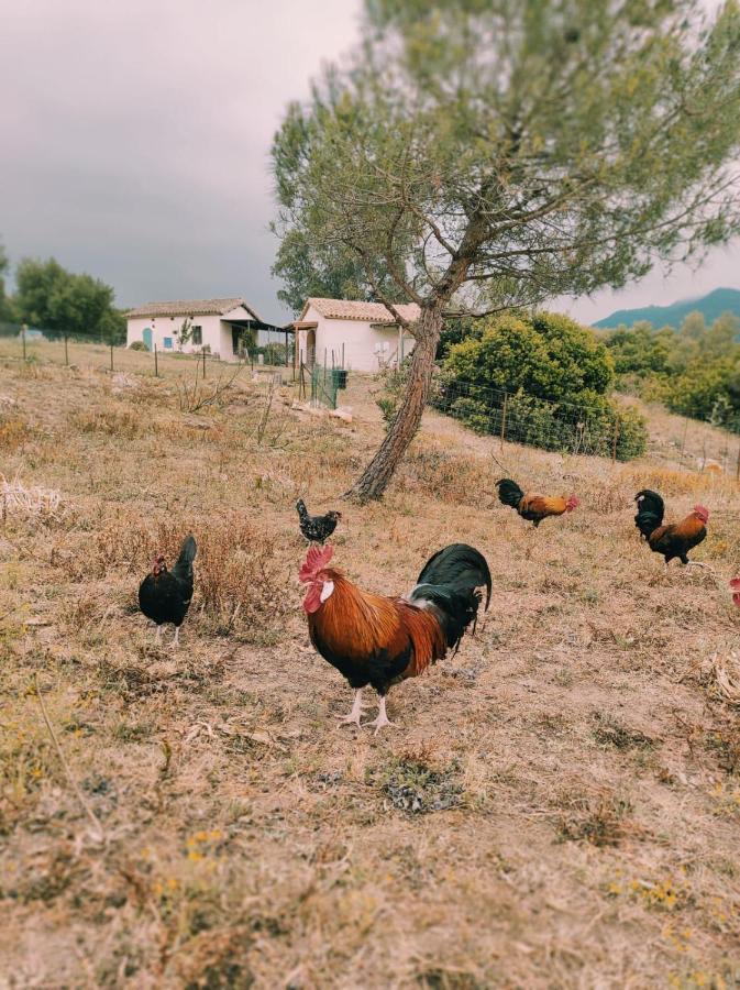 Вилла Complejo Rural Del Molino Dorado Фасинас Экстерьер фото