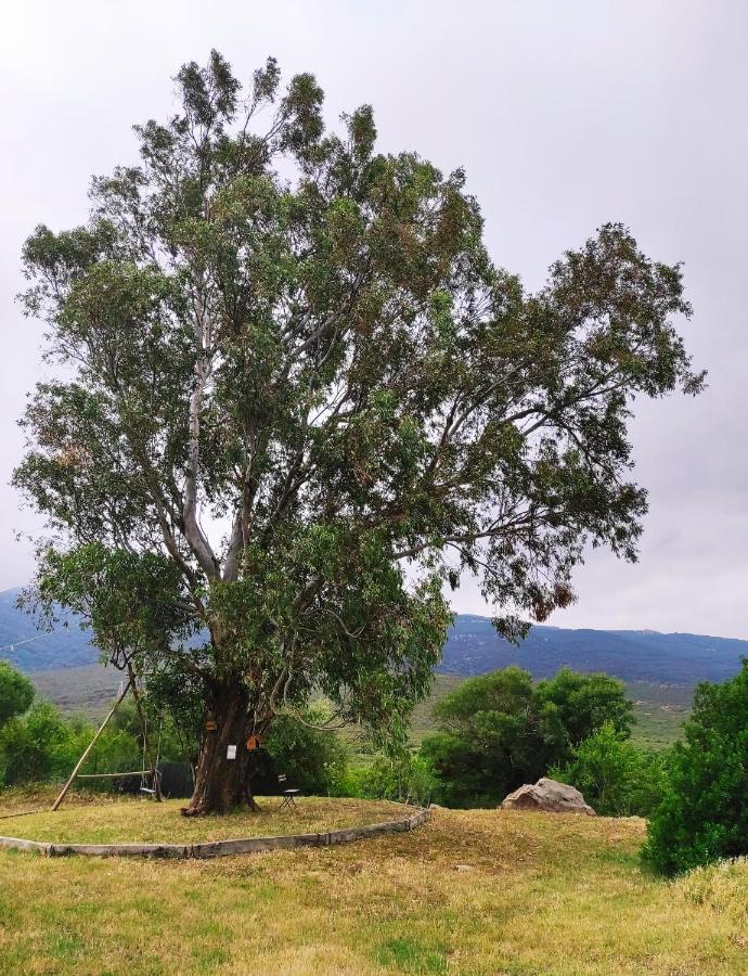 Вилла Complejo Rural Del Molino Dorado Фасинас Экстерьер фото