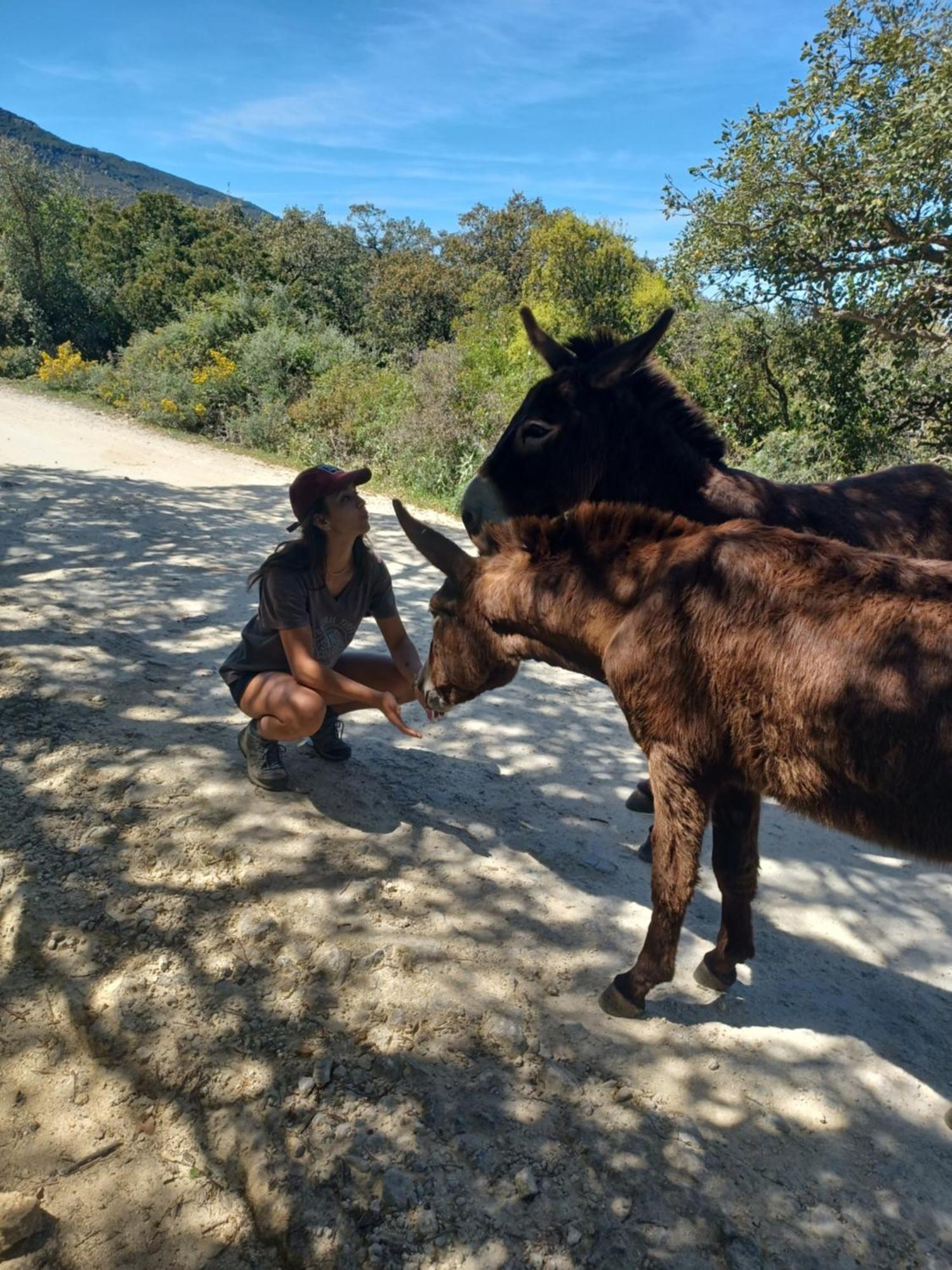 Вилла Complejo Rural Del Molino Dorado Фасинас Экстерьер фото