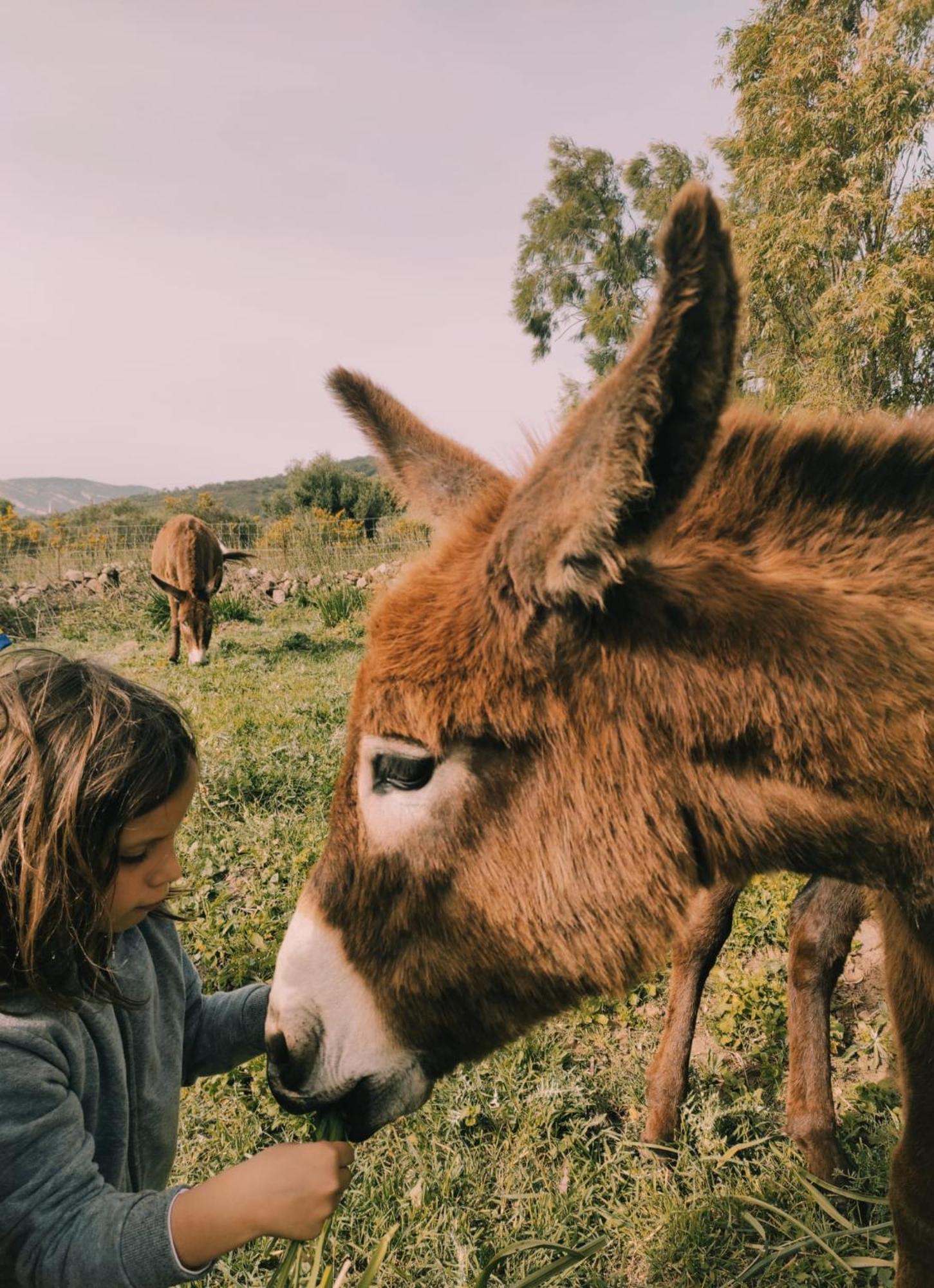 Вилла Complejo Rural Del Molino Dorado Фасинас Экстерьер фото